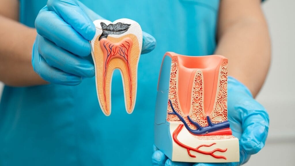 Dental Problems & Treatments Explained
